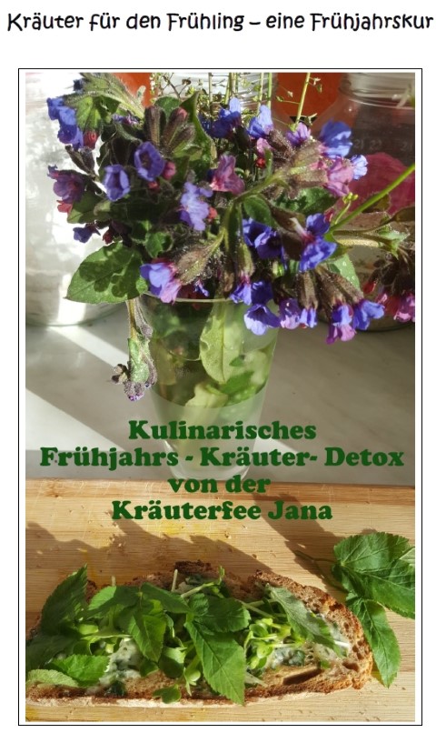 E-Book: Kräuter Detox für den Frühling E-Book: Kräuter Detox für den Frühling